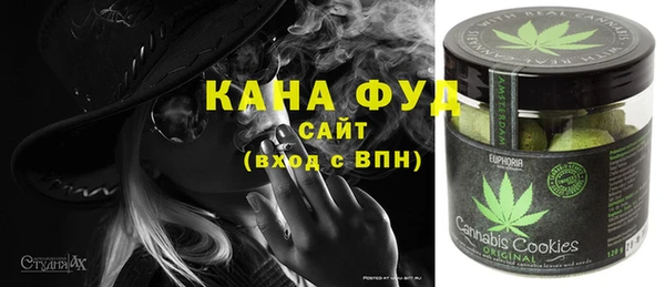 гашик Кулебаки