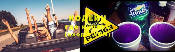 гашик Кулебаки