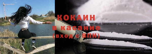 гашик Кулебаки