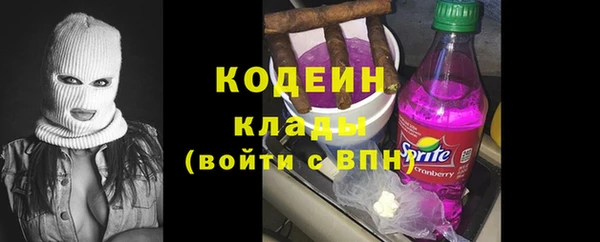 гашик Кулебаки