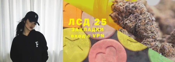 гашик Кулебаки