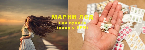 гашик Кулебаки
