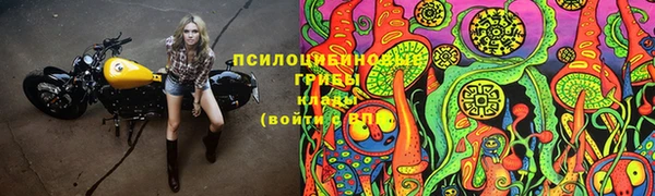 гашик Кулебаки